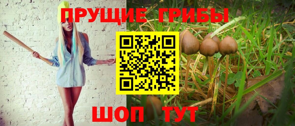 Галлюциногенные грибы мухоморы Солнечногорск