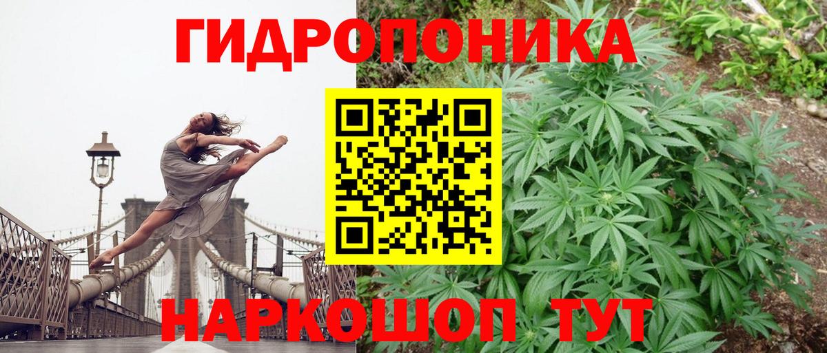 Канабис White Widow  Вход с VPN  Бошки марихуана планчик  Солнечногорск 